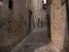 Figeac - Sloping narrow street lined with stone houses, in the Quercy