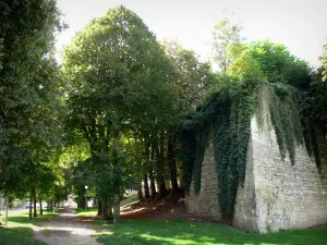 Fismes - Stadtmauer und schattige Promenade (Allee) gesäumt von Bäumen