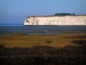 Flussmündung der Gironde - Sumpf, Kalkfelsen und Flussmündung der Gironde im Hintergrund