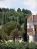 Fontgombault abbey - Notre-Dame Benedictine Abbey: apse of the Romanesque abbey church and trees