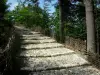 Forcalquier - Chemin bordé de plessis et d'arbres menant à la citadelle