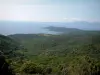 Forêt de Chiavari - Collines recouvertes de forêts, mer méditerranée et côtes au loin