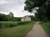 Forêt de Montmorency - Petite route menant au château de la Chasse
