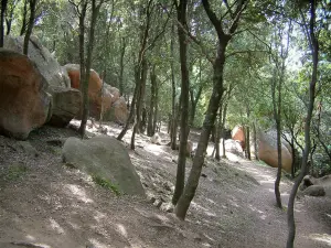 Forêt de Piana - Rochers de granit rouge et arbres