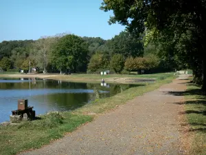 Forêt de Tronçais - Promenade au bord de l'étang de Saint-Bonnet-Tronçais