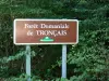 La forêt de Tronçais - Forêt de Tronçais: Panneau de la forêt domaniale de Tronçais