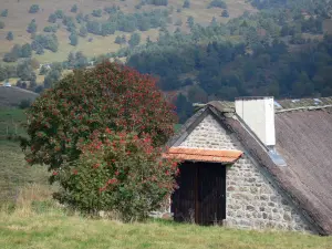 Forez mountains - Jasserie (mountain hut) of Grand Juniper; in the Livradois-Forez Regional Nature Park