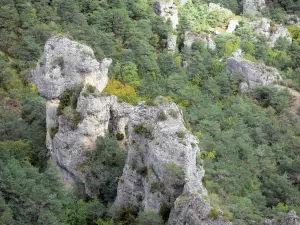 Formazioni rocciose di Montpellier-le-Vieux - Rocce dolomitiche Ruiniformes immersa nel verde