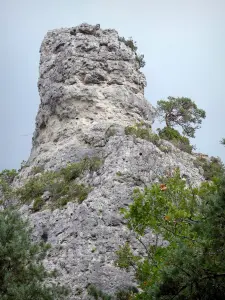 Formazioni rocciose di Montpellier-le-Vieux - Roccia dolomitica caos ruiniform