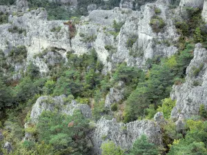 Formazioni rocciose di Montpellier-le-Vieux - Rocky caos ruiniform