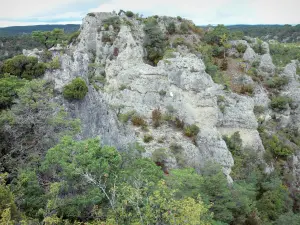 Formazioni rocciose di Montpellier-le-Vieux - Ruiniform caos roccioso in verde