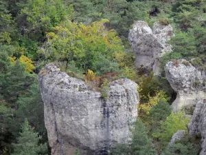 Formazioni rocciose di Montpellier-le-Vieux - Rocce dolomitiche circondata da alberi