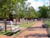 Fort-de-France - Place de la Savane agrémentée d'arbres et de bancs