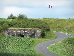 Fort de Villy-La Ferté - Casemate d'artillerie, drapeau français et route bordée de verdure