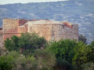 Fortaleza de Salses - Castillo rodeado de vegetación