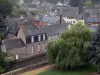 Fougères - Saule-pleureur (arbre) au bord de la rivière Nançon et maisons de la ville médiévale 