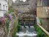 Fougères - Nançon rivier aan de voet van het middeleeuwse kasteel, bloemen