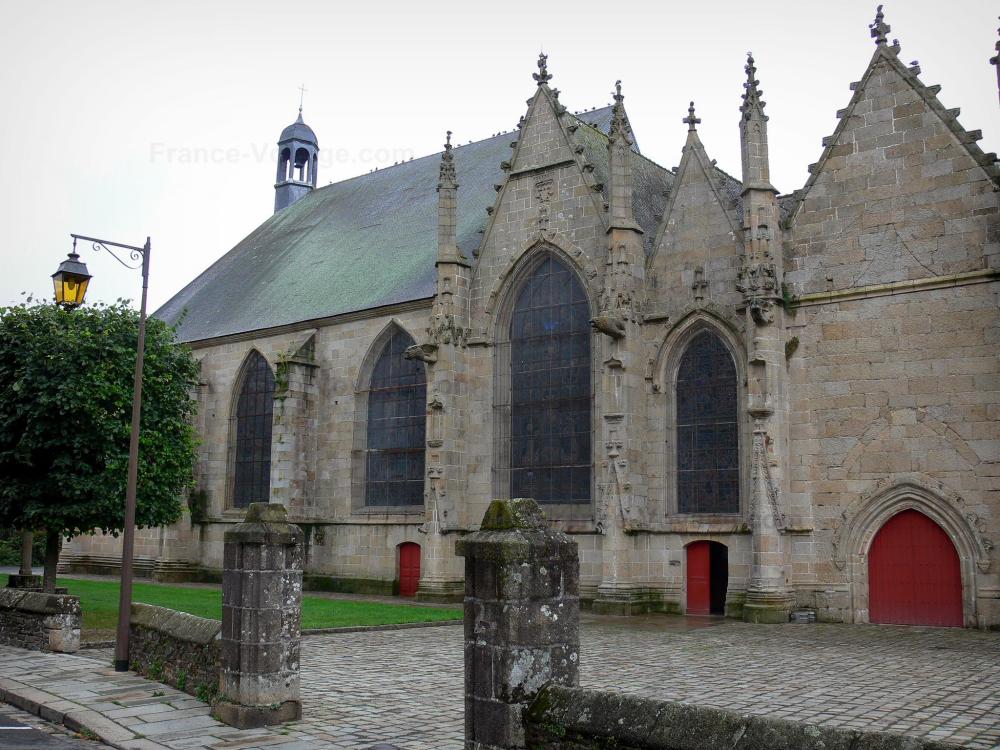 Photos Fougères 48 images de qualité en haute définition