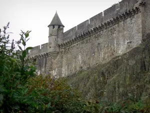 Fougères - Vestingwerken (muren) van het kasteel en struiken op de voorgrond