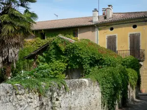 Fourcès - Plantes grimpantes et maisons du village (castelnau)