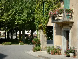 Fourcès - Casa decorata con fiori e quadrato rotondo ombreggiate da platani (alberi)