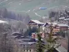 La Foux d'Allos - Chalets de la station de ski de Val d'Allos 1800, arbres, remontée mécanique et alpages (pâturages)