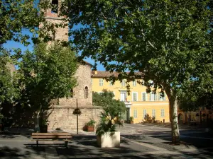 Fréjus - Cathedral (Episcopal set), town hall, shrubs in jars and trees on the Formigé square