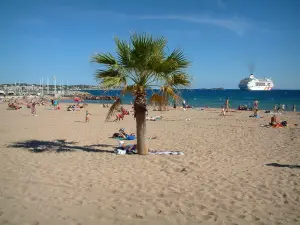 Fréjus - Fréjus-Plage: sandy beach with tourists and palm tree, the Mediterranean Sea and a cruise boat