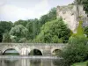 Fresnay河畔萨尔特 - 城堡城墙，水边的树木和跨越萨尔特河的桥梁