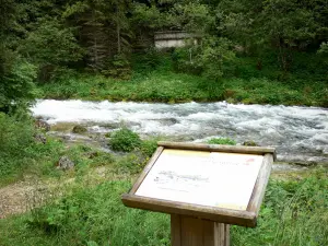 Fuentes del Doubs - Fuente Página web: panel, vegetación, árboles y río Doubs, en el Val de Mouthe