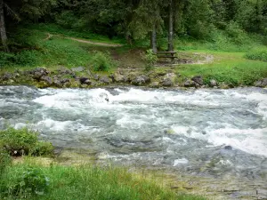 Fuentes del Doubs - Fuente Página web: río Doubs, la vegetación, mesa de picnic y los árboles en el Valle del Mouthe
