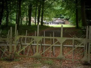 Fuerte de Schoenenbourg - Estructura del bosque y de la artillería de la Línea Maginot