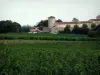 Gaillac vineyards - Vineyards, trees and residence (Gaillac vineyards)