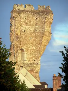 Gallardon - Tower named 'épaule de Gallardon' (ruin, remains of the keep)