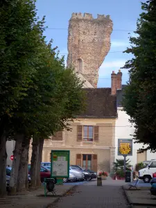 Gallardon - Tower named 'épaule de Gallardon' (ruin, remains of the keep), alley lined with trees and houses