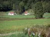 Garbet-Tal - Wiese, Haus, Scheune und Bäume; im Regionalen Naturpark der Ariège Pyrenäen, im Couserans