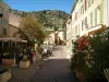 La Garde-Freinet - Casas con fachadas de colores, terrazas de restaurantes, los árboles y las colinas de las montañas Maures en el fondo