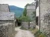 La Garde-Guérin - Callejón florecido bordeadas de casas de piedra