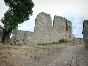 La Garde-Guérin - Overblijfselen van een statige villa