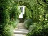 Gardens of the Notre-Dame d'Orsan priory - Alley with lavender and rosebushes