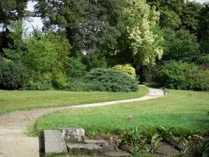 Gardens of the Palace of Fontainebleau - English garden: alley lined with lawns, shrubs and trees