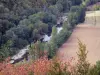 Gargantas del Aveyron - Vista del río Aveyron, arbolado