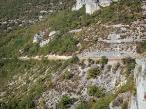 Gargantas del Aveyron - Paredes de roca y la vegetación
