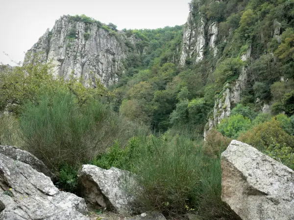 Gargantas de Chouvigny - Gargantas Sioule: paredes de rocas, vegetación y roca (acantilados)