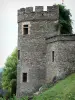 Gargantas de Chouvigny - Torre almenada del castillo que domina las gargantas del Chouvigny de Sioule