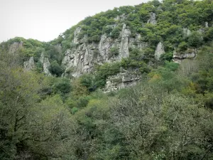 Gargantas de Chouvigny - Gargantas Sioule: paredes de piedra y los árboles