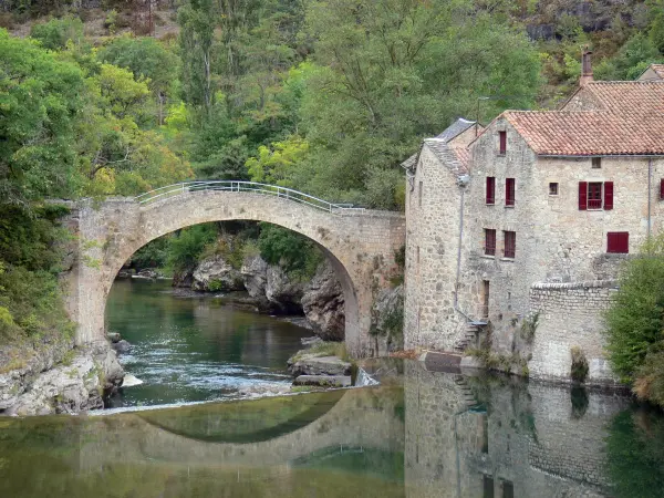 Gargantas del Dourbie - Mill Corp., puente jorobado sobre el Dourbie río y los árboles en el borde del agua en el Parque Natural Regional de Causses