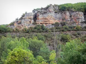 Gargantas del Dourbie - Paredes de roca y árboles en el Parc Naturel Régional des Grands Causses