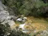 Gargantas de Galamus - Árboles a lo largo del agua