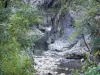 Gargantas del Guiers Mort - Chartreuse (Parque Natural Regional de Chartreuse): paredes de piedra de río y los árboles